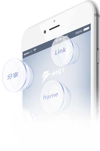 MIP标准的原生手机网站